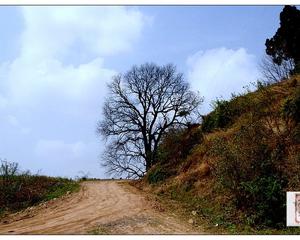 米乐M6|湖南卫视上演“黄小琥周” 灭绝师太破例装嗲扮可爱(图2) m6最新官网