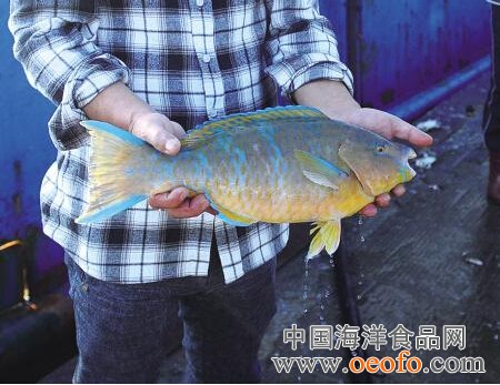 米乐M6官方入口_CBA全明星正赛南方147(图4) 米乐M6官方入口