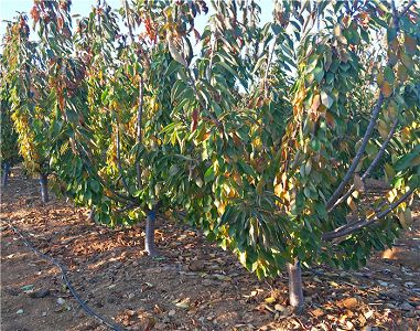 m6最新官网|辽篮真的没有人了吗!除了郭少? 将面临艰难的开局(图1) 米乐M6官方入口