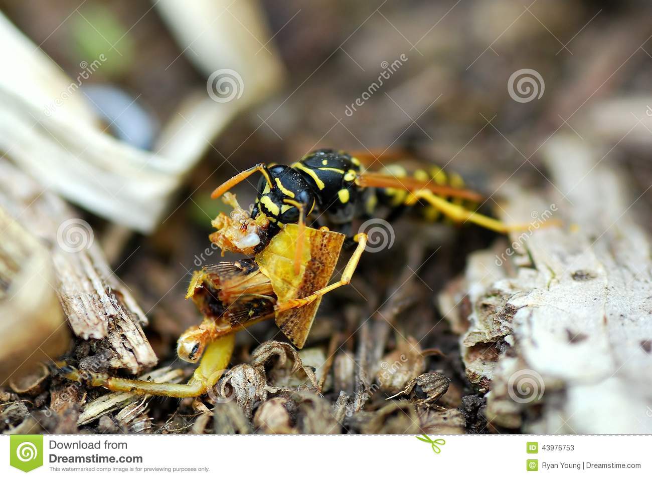 【米乐M6】张惠妹广州演唱会紧拥两猛男 发福严重引网友热议(图4) 米乐M6