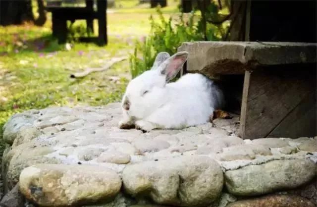 云南:5月省内市场成交电量达68.2亿千瓦时:米乐M6(图4) m6最新官网