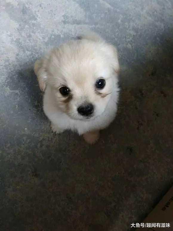 m6最新官网|顾又铭登《命运好好玩》 获赞“将稳坐亚洲男神宝座”(图1) 米乐M6