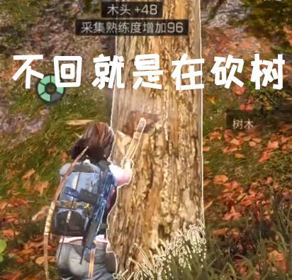 m6最新官网_郭晶晶霍启刚筹备龙年婚礼 多处豪宅曝光(图1) 米乐M6