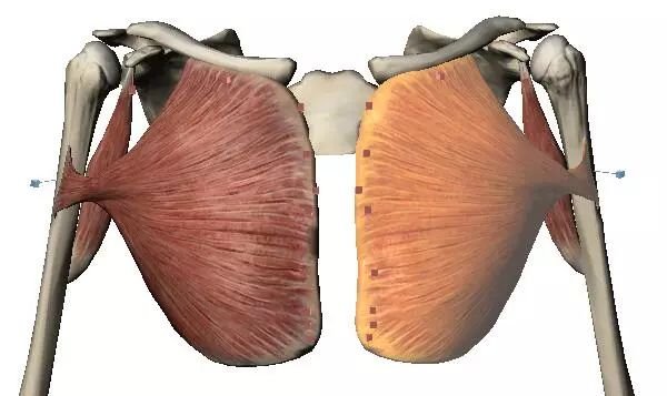 湖北省主网最大用电负荷升2%统调电厂存煤减0.3万吨|米乐M6(图2) 米乐M6