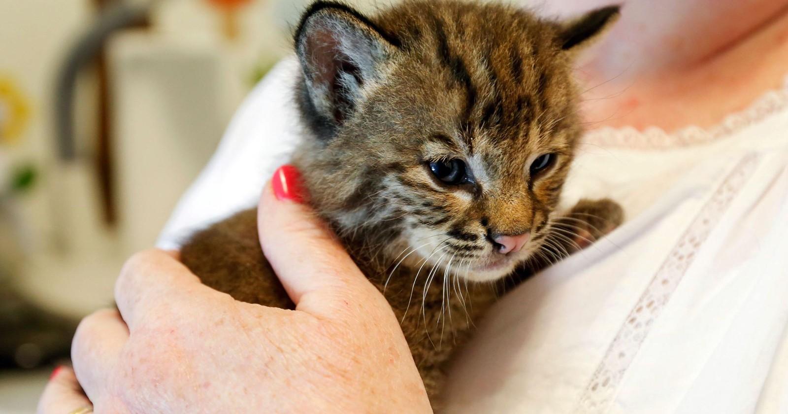 吴绮莉自责当妈不称职 不阻女儿见成龙“米乐M6”(图1) 米乐M6