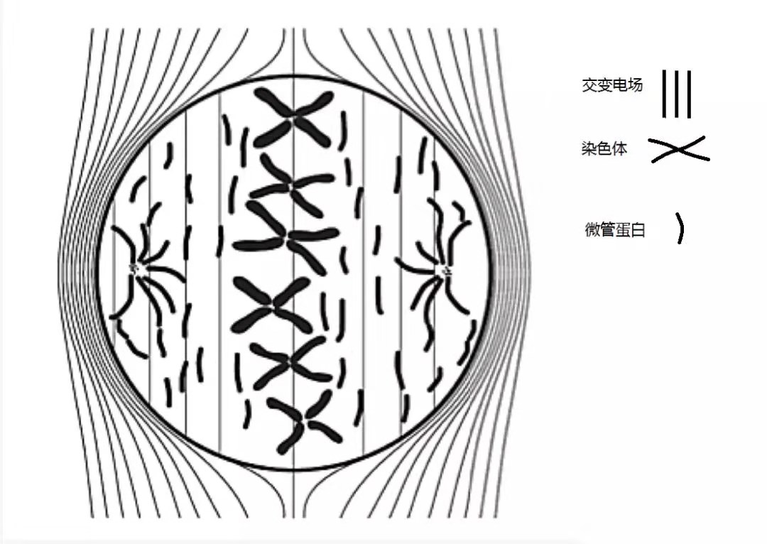 不出家门不用愁线上抗“疫”显身手‘米乐M6官方入口’(图1) 米乐M6