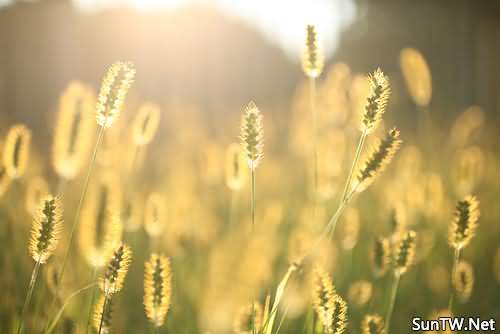 米乐M6官方入口