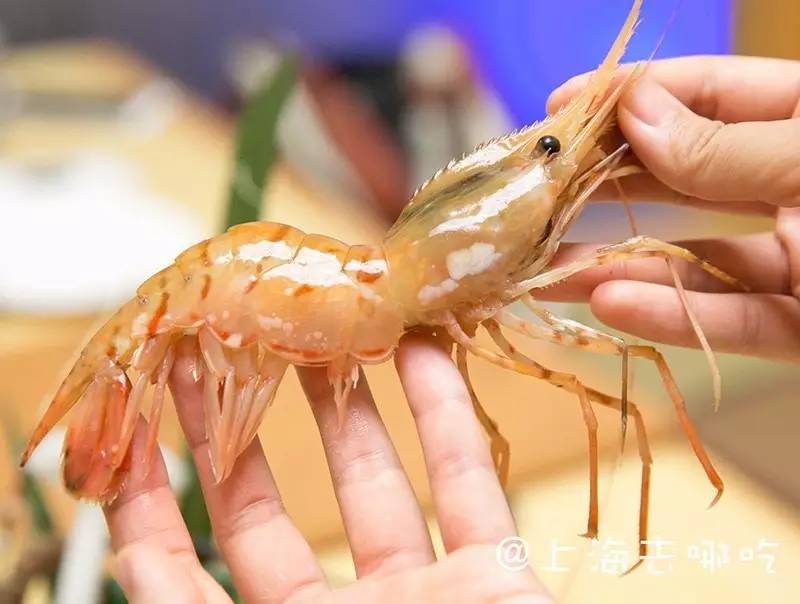 米乐M6-杰特30分山东险胜获赛点 老马29分难救卫冕冠军(图2) 米乐M6