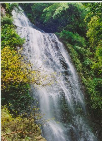 【米乐M6】张柏芝新加坡购物被粉丝认出 素颜被赞漂亮(图3) m6最新官网