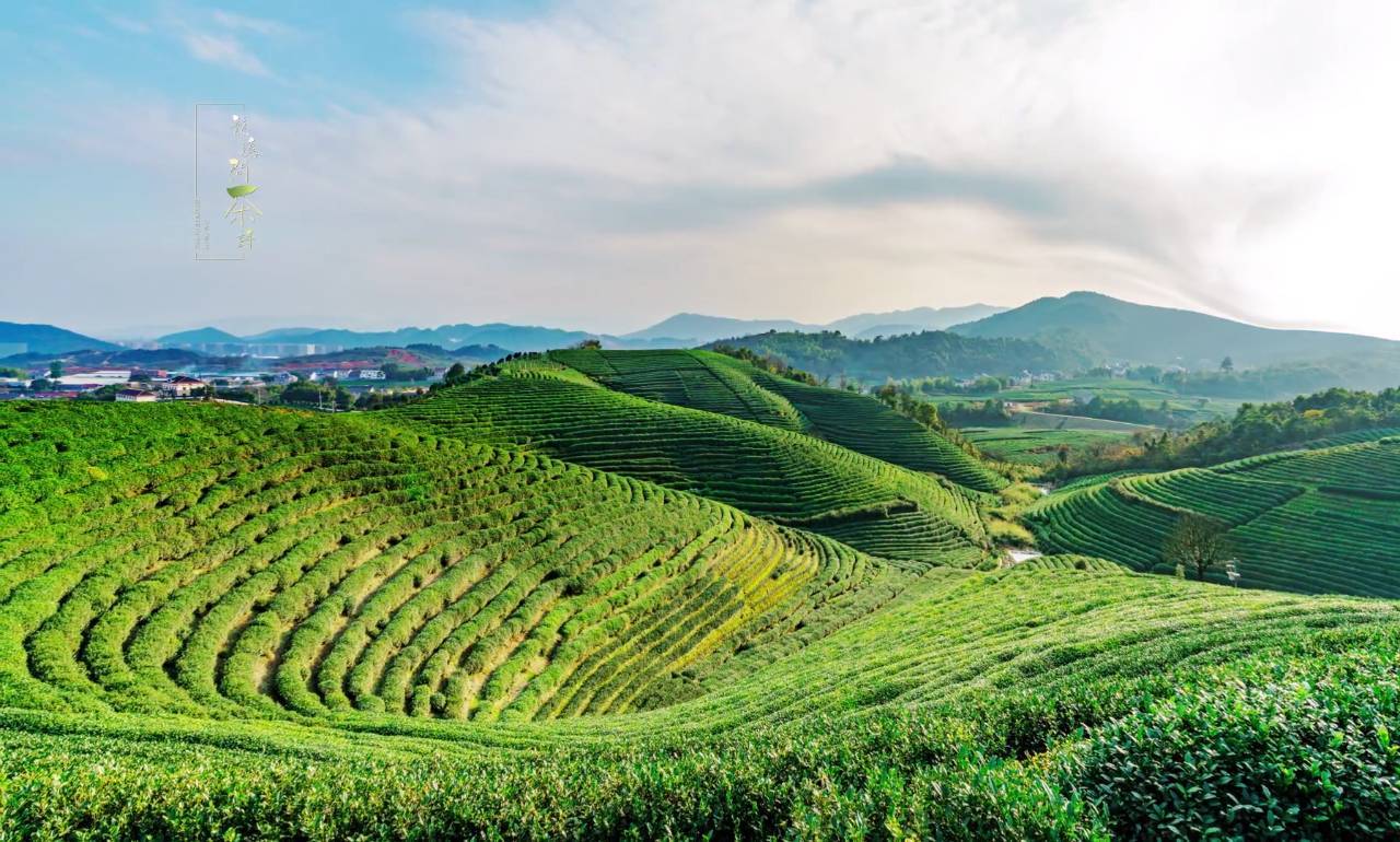 米乐M6|关于举办2016年全国篮球队伍体能教练培训班的通知(图1) m6最新官网