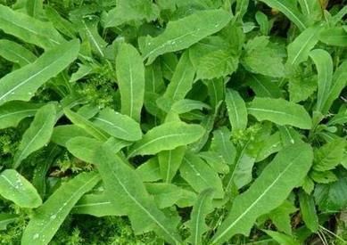 山东87|米乐M6官方入口(图2) 米乐M6官方入口