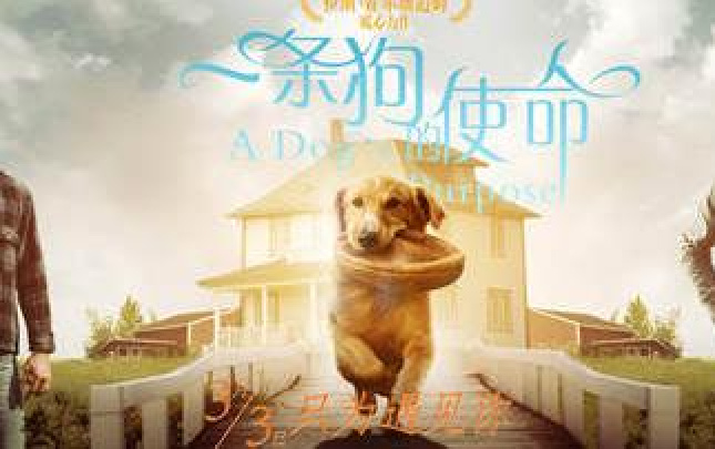 山东113-米乐M6(图1) 米乐M6