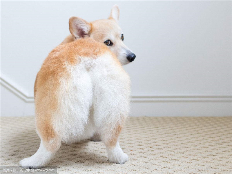 ‘m6最新官网’房祖名自曝监狱生活 染上怪癖爱养蜘蛛(图1) 米乐M6