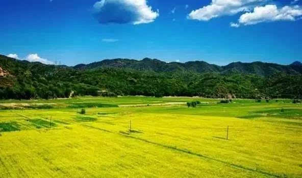 【m6最新官网】卢卡斯再发飙狂砍40分 上海115-101青岛取七连胜(图3) 米乐M6官方入口