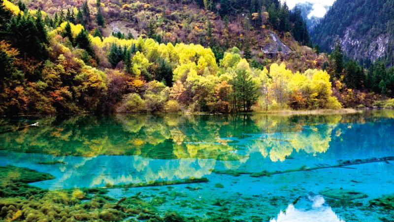 米乐M6:我国首批电力现货市场试点建设迈开大步电改进入新阶段(图1) 米乐M6官方入口