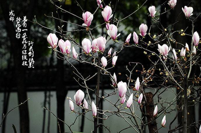 米乐M6官方入口