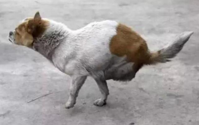 陈茵媺萧正楠顺利上位 无线力推6小生8花旦救亡“米乐M6”