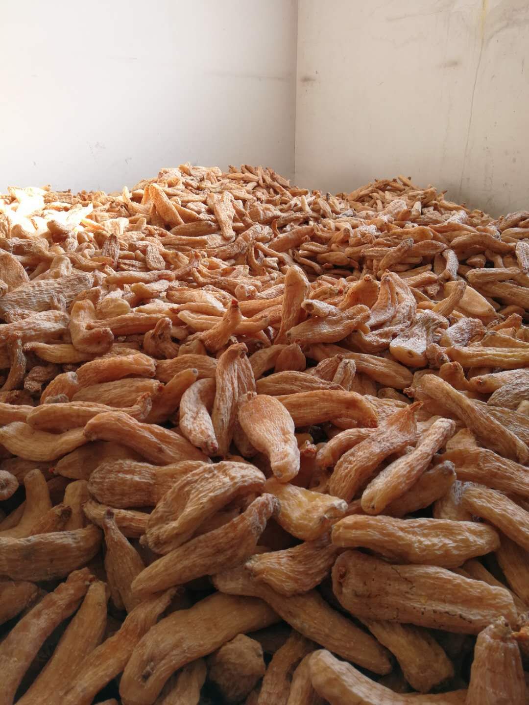 陈茵媺萧正楠顺利上位 无线力推6小生8花旦救亡“米乐M6”(图3) m6最新官网