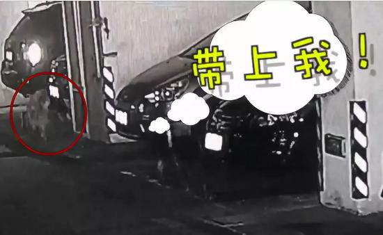 大S小S吞拳头哀悼大炳 强忍悲伤笑泪交织(图)_米乐M6