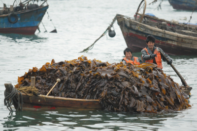 “m6最新官网”汪东城韩国获封“亚洲年度艺人” 与SJ成员显亲密