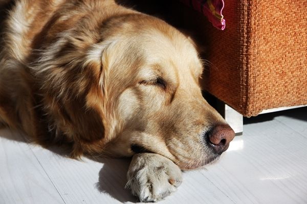 【米乐M6官方入口】山东116(图2) 米乐M6