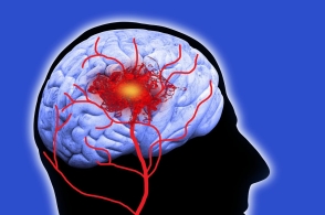 米乐M6官方入口