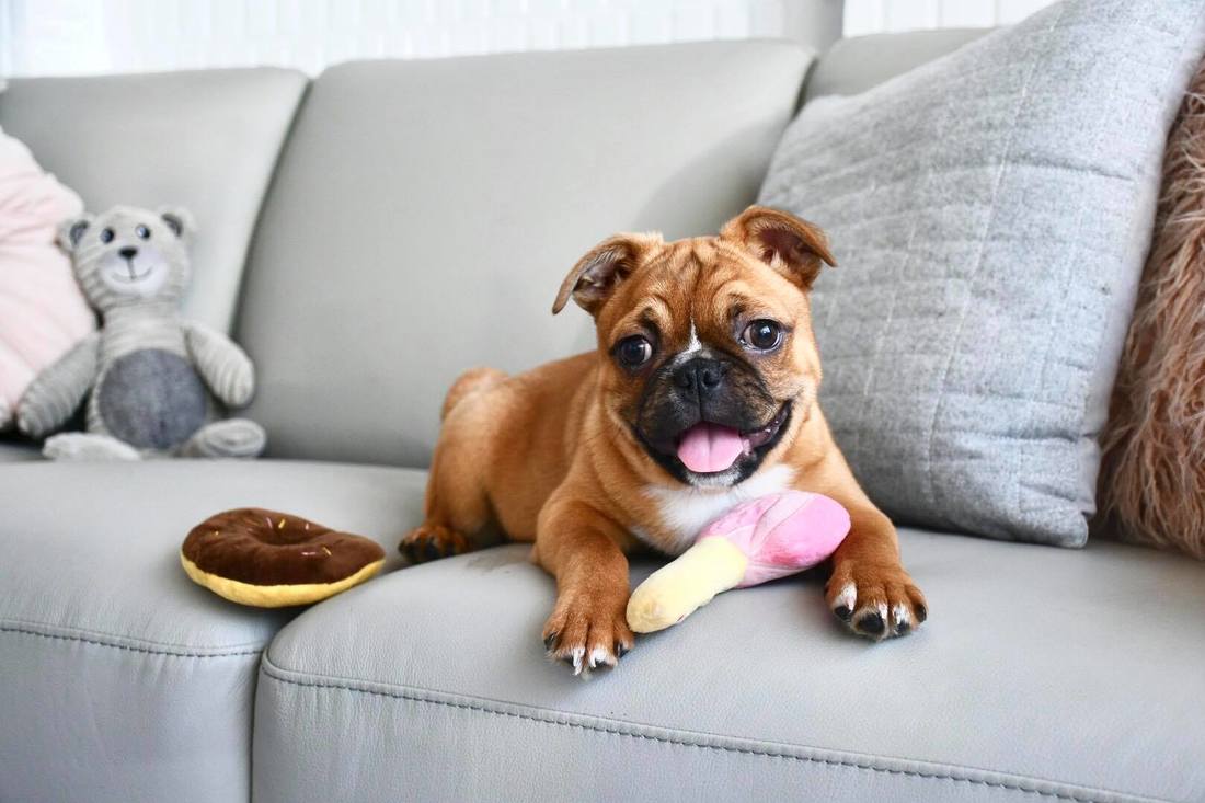 米乐M6官方入口