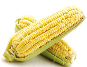 米乐M6官方入口