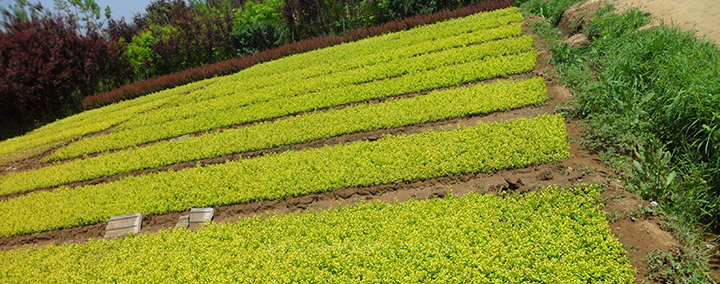 米乐M6官方入口