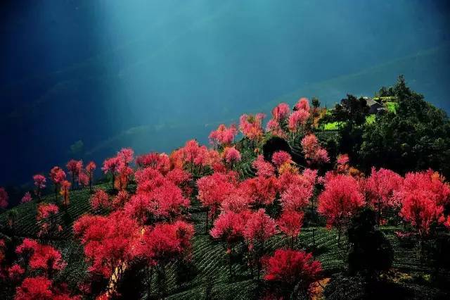 米乐M6官方入口