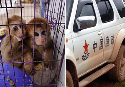 米乐M6官方入口