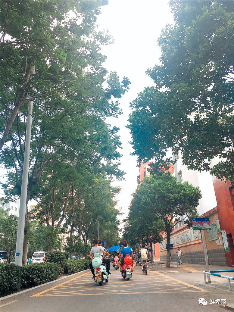 米乐M6官方入口