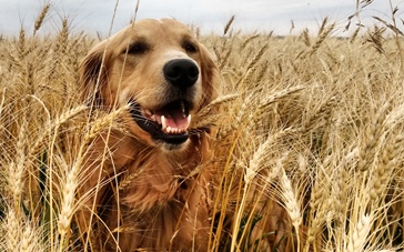 米乐M6官方入口