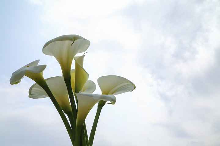 米乐M6官方入口