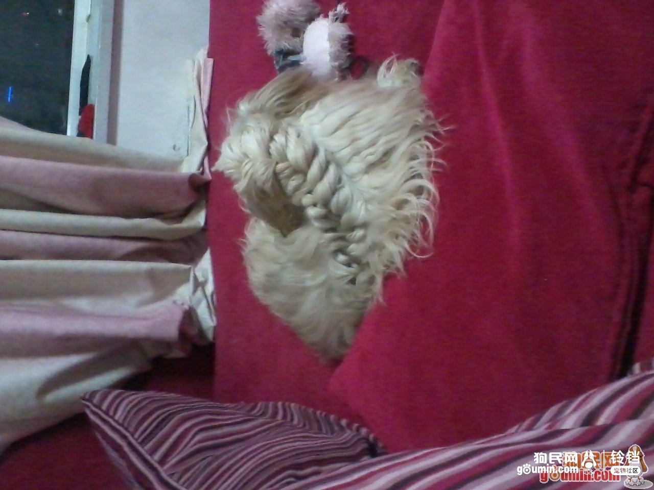 米乐M6官方入口