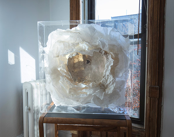 m6最新官网:柯震东坦承吸毒被抓觉得倒霉 反思:以前太嚣张(图2) m6最新官网