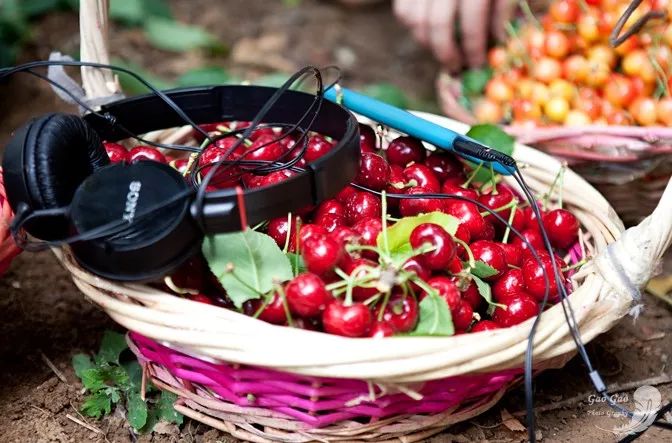 米乐M6官方入口