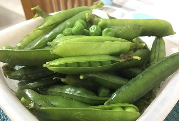 米乐M6官方入口