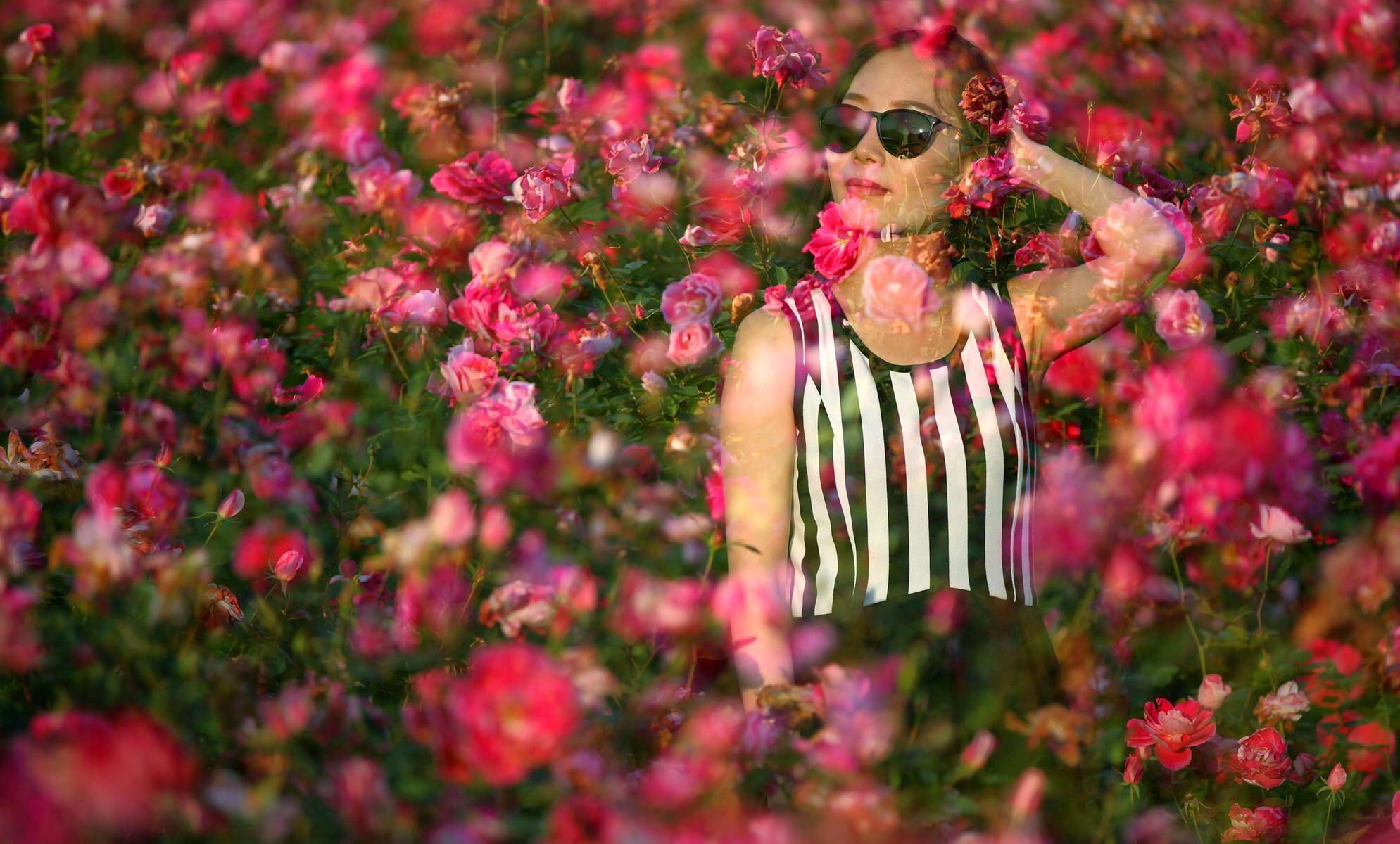 何超盈失恋仍维护旧爱 和平分手无关第三者(图)：米乐M6