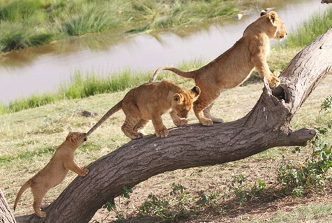 米乐M6官方入口